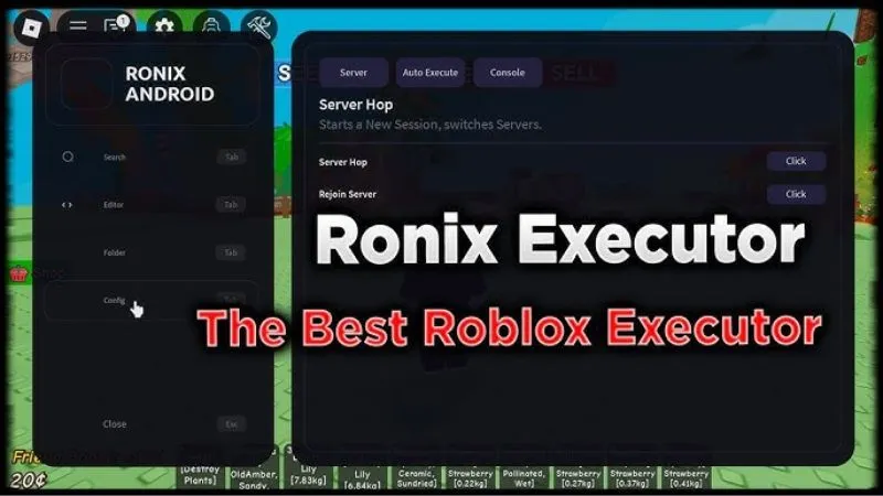 Cập Nhật Phiên Bản Định Kỳ Trong Ronix Executor