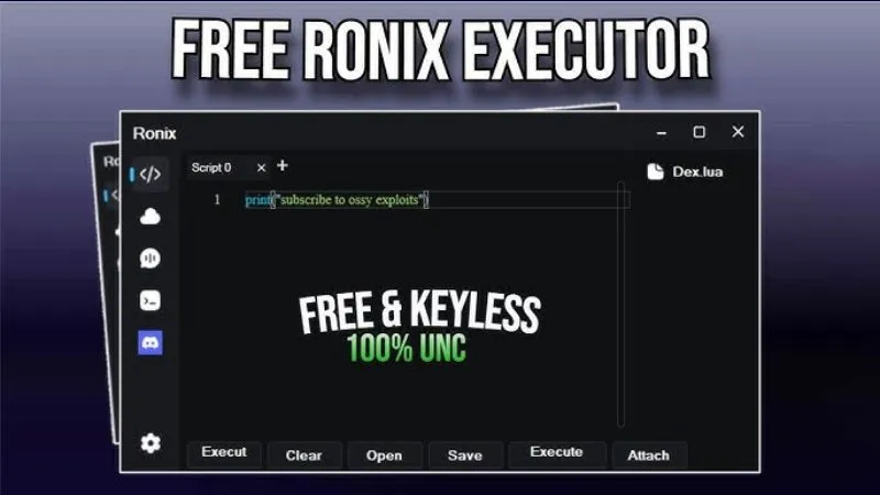Lưu Ý Khi Sử Dụng Ronix Executor